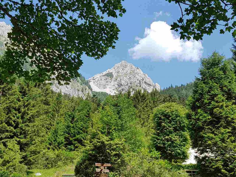 IZVJEŠTAJ O RADU ZA 2019 G.